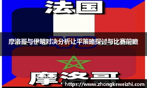 星空综合官网