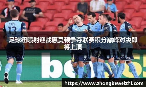 星空综合官网